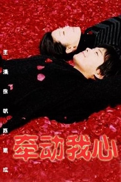 poster for 牵动我心