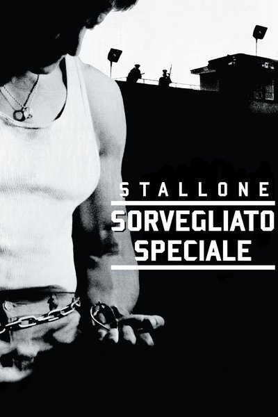 Sorvegliato speciale (1989)