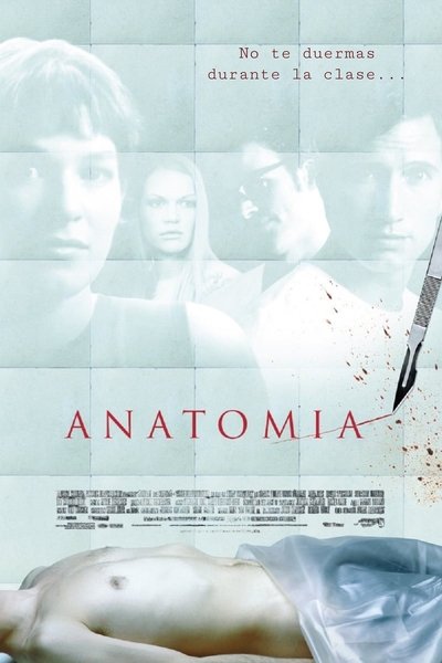 Anatomía