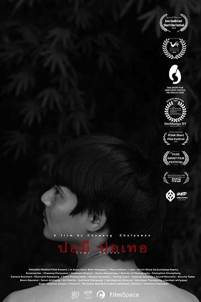 Poster do Filme Pomi Pothoe