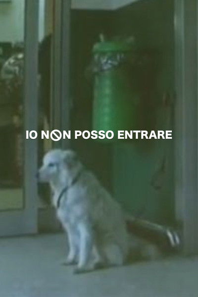 Poster do Filme Io non posso entrare