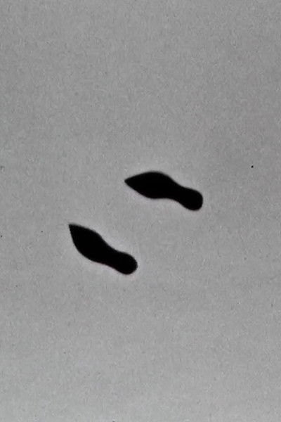 Poster do Filme Cold Feet