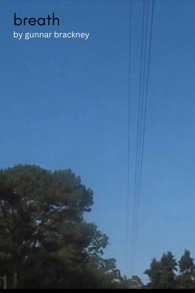 Poster do Filme Breath