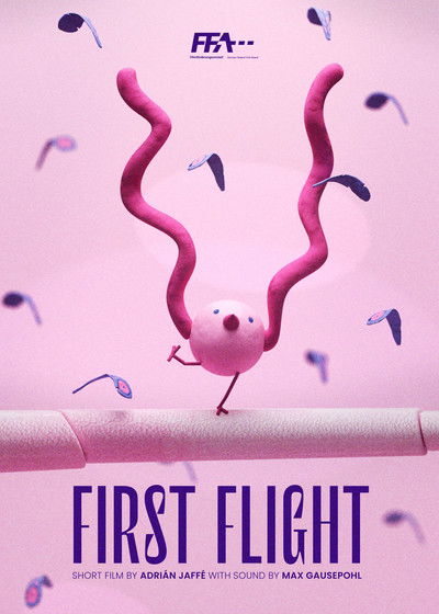 Poster do Filme First Flight