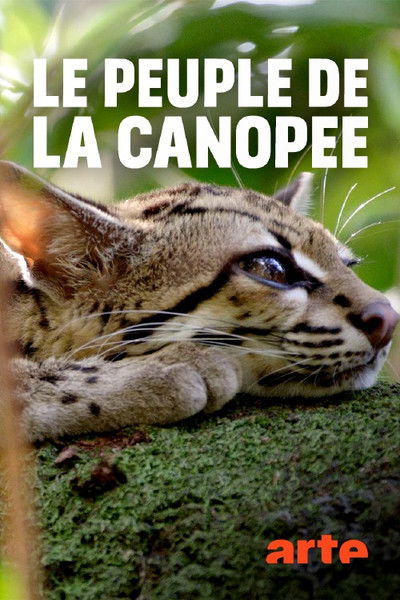 poster for Leben im Kronendach