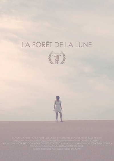 Poster do Filme La forêt de la lune