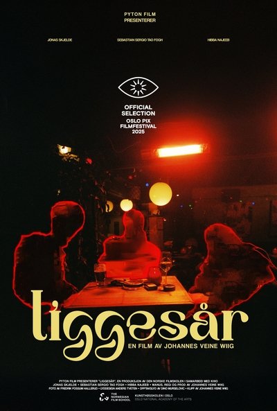 movie poster for Liggesår