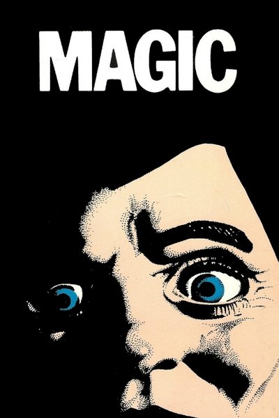 Poster for the movie Magic