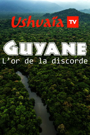Poster do Filme Guyane : L'or de la discorde