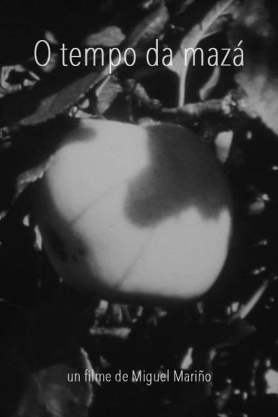 movie poster for O tempo da mazá