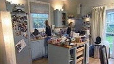 Celebrity Special, Helen Lederer