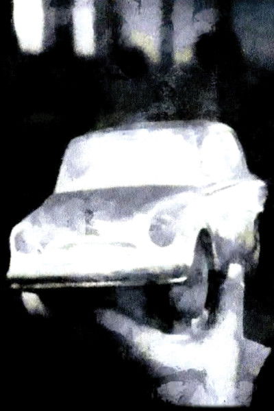 Poster do Filme Autoportrait