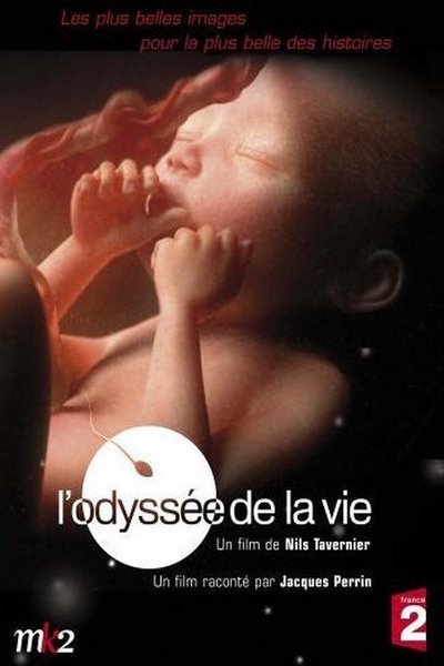 Poster for the movie L'odyssée de la vie