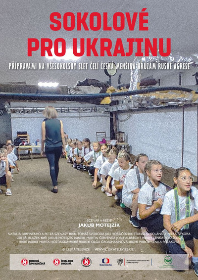Poster do Filme Sokolové pro Ukrajinu