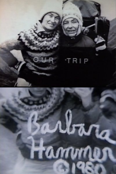 Poster do Filme Our Trip