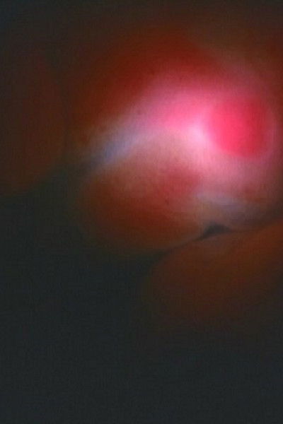 Poster do Filme Life is Born