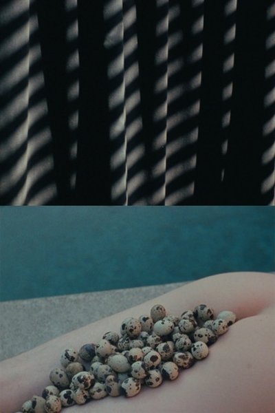 Poster do Filme In Its Form Asleep
