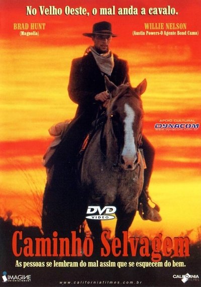 Poster do Filme Caminho Selvagem