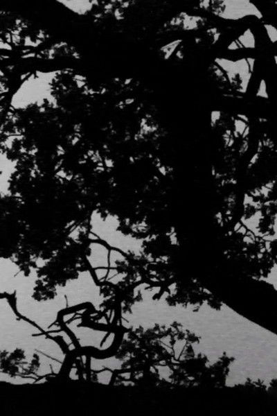 Poster do Filme Ounty (for Mia)