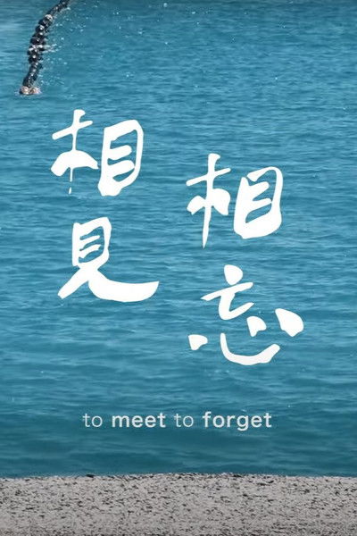 movie poster for To Meet to Forget