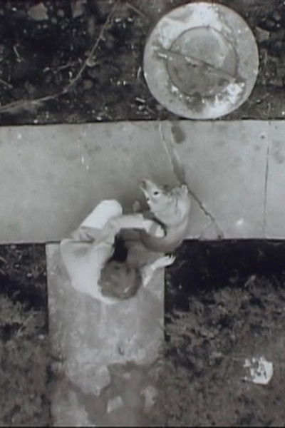 movie poster for Saturday Morning