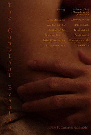 Poster do Filme The Constant Evening