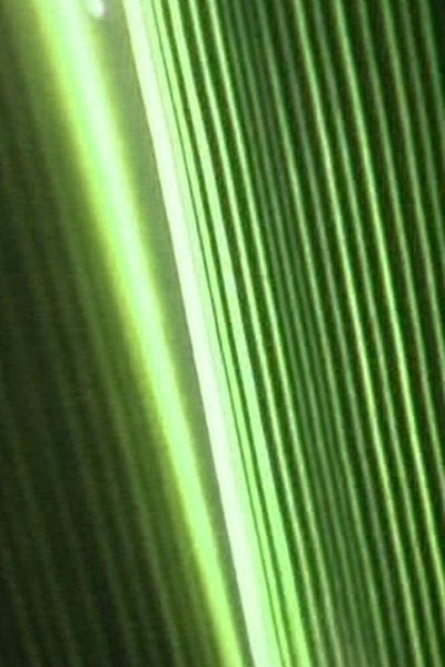 Poster do Filme Bump Past Cut Up Through Windows