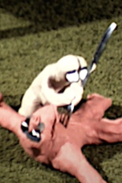 Poster do Filme The Search for Happiness