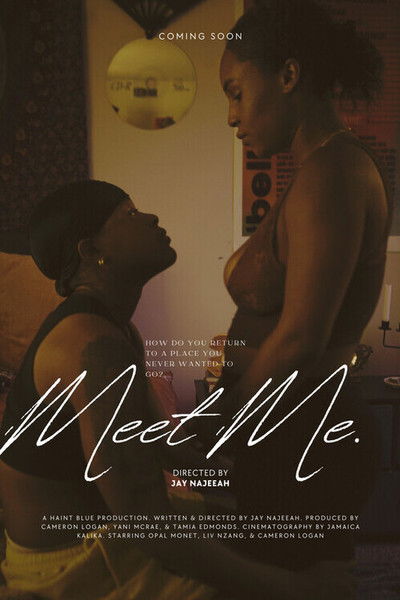 Poster do Filme Meet Me.