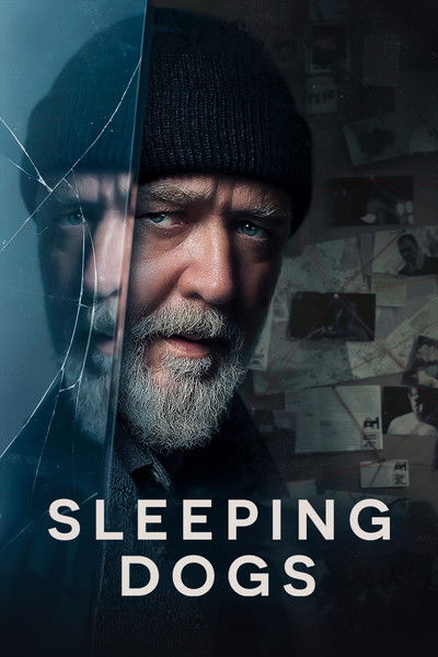 Sleeping Dogs (2024) WEB-HDRip [Dual Audio] [Hindi ORG DD 2.0 – English] 1080p | 720p | HEVC | 480p [x264|x265] Esubs