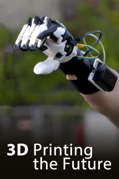Poster do Filme Zukunft aus dem Drucker: Wie 3D-Druck unsere Welt verändert