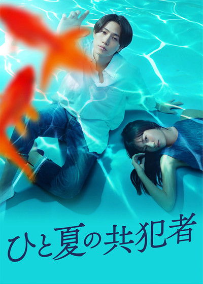 poster for A Summer's Accomplice