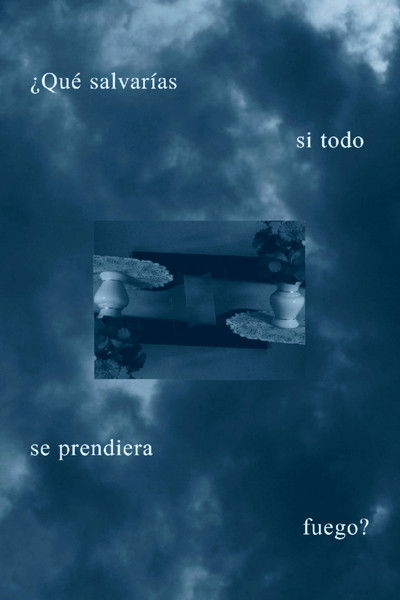 Poster do Filme ¿Qué salvarías si todo se prendiera fuego?