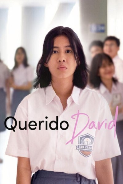 Poster do Filme Querido David