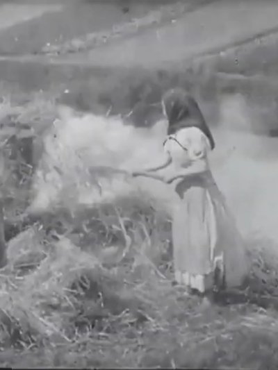 Poster do Filme Brûleuses d'herbes