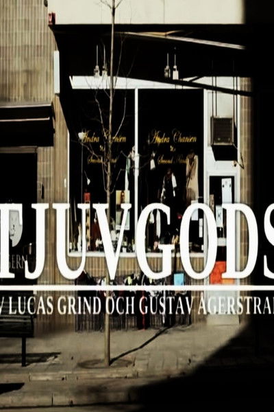 Poster do Filme Tjuvgods