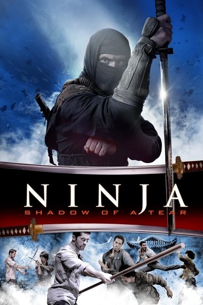 Poster for the movie Ninja: Shadow of a Tear