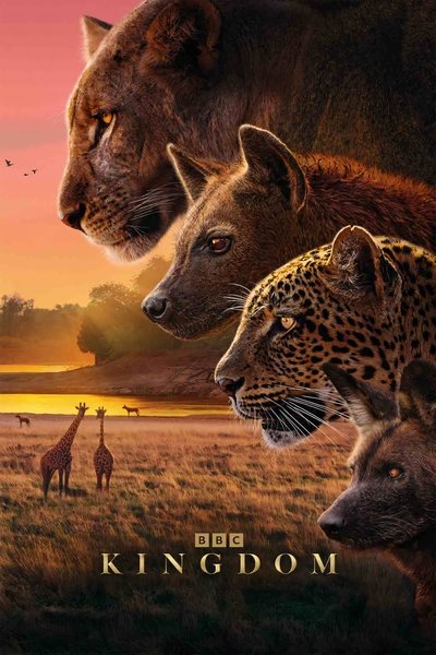 poster Kingdom