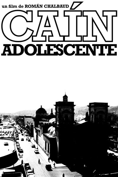 Poster for the movie Young Cain