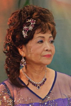 Poster do Filme My Happy Mom, And Her Chinese Opera