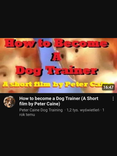 Poster do Filme How to become a Dog Trainer