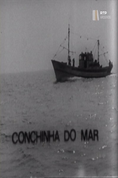Poster do Filme Conchinha do Mar