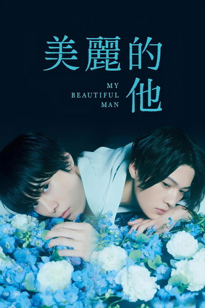 美丽的他