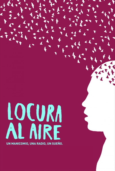 Poster do Filme Locura al aire