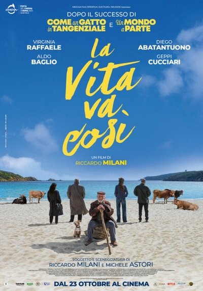 movie poster for La vita va così