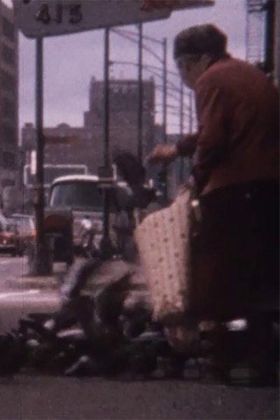 Poster do Filme Pigeon Lady