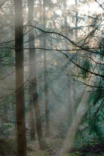 Silence