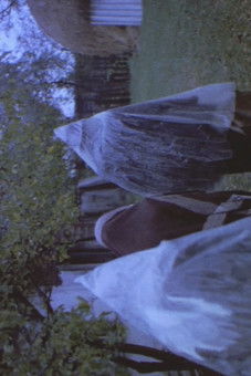 Poster do Filme Поки ще живемо