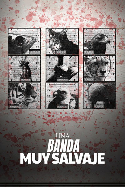 The Wild Wild Bunch