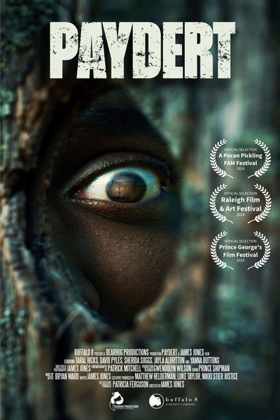 Poster do Filme Paydert